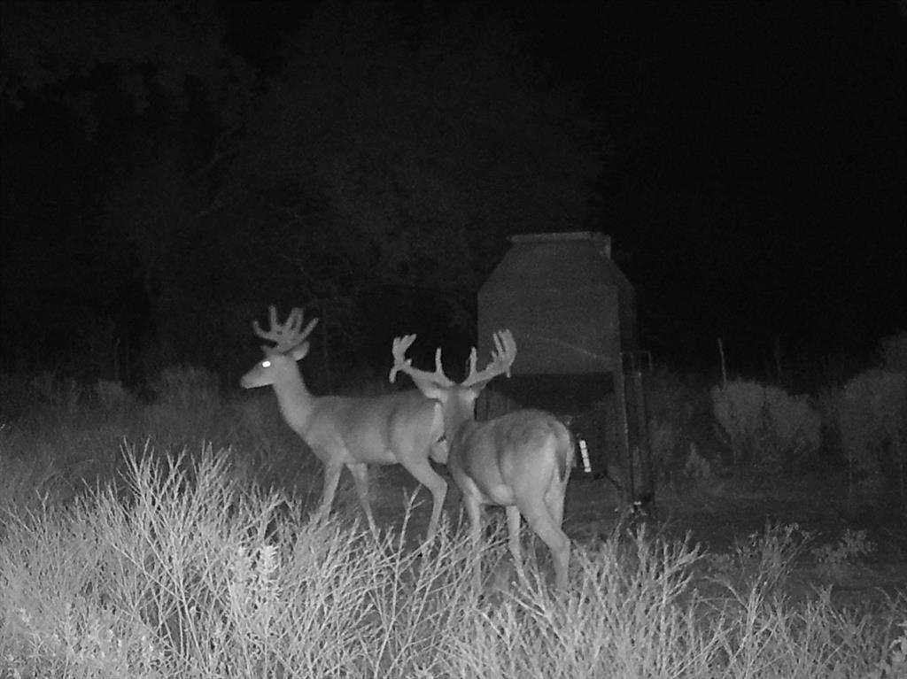 TBD Fm-2481 Lot 8