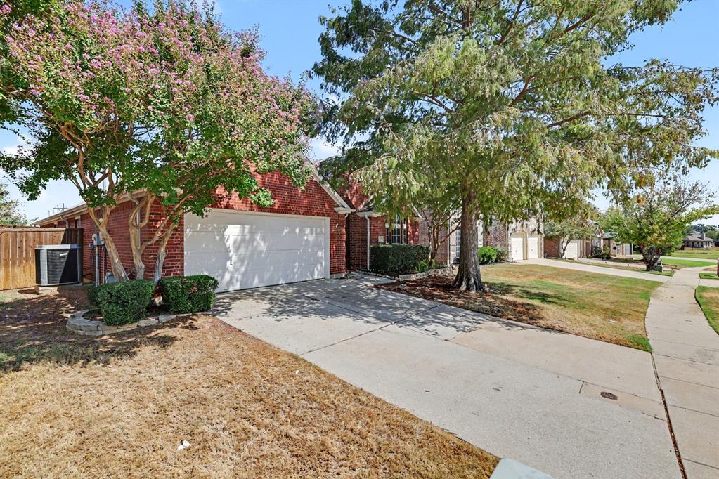 3705 Palmetto Court