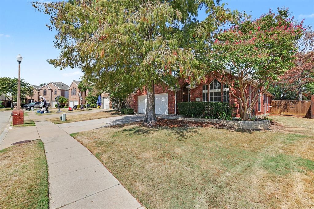 3705 Palmetto Court