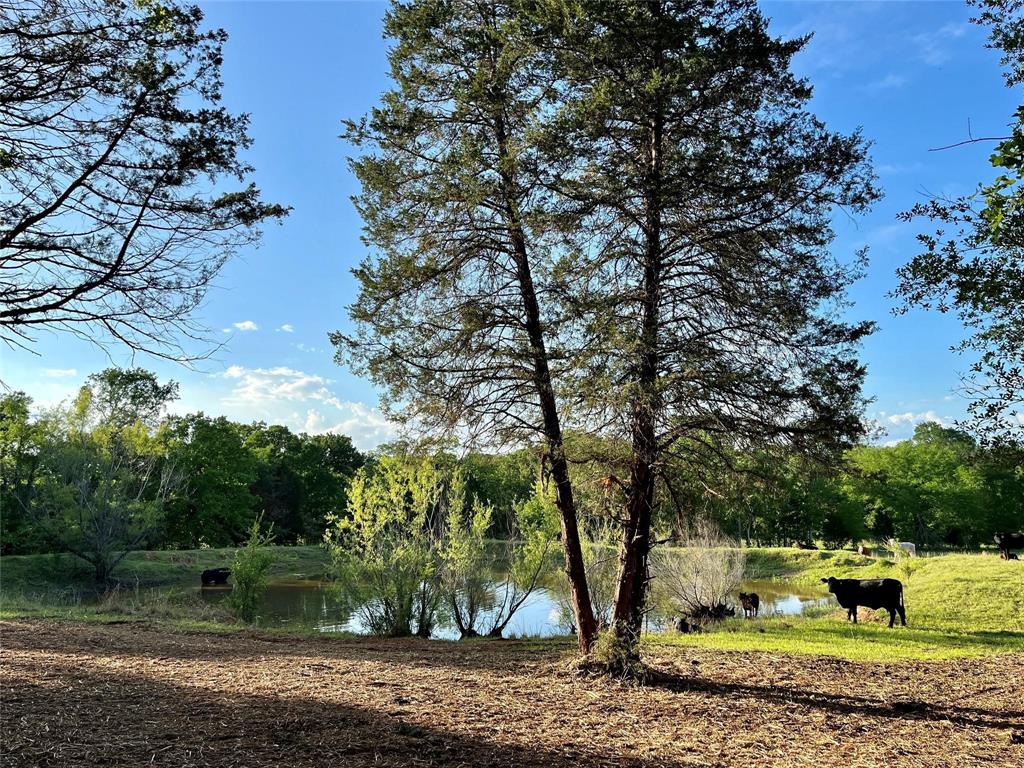 601 US Highway 175 W