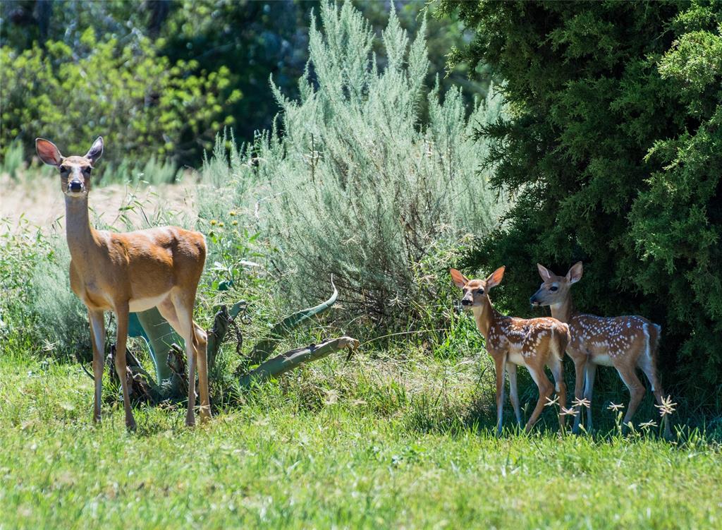The Hills above PK Lake - Land
