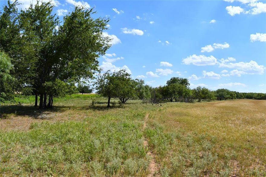 (Olney Creek Ranches - Tract 8)

This 23.27 acres of level fertile land is located just five miles south of Olney on FM 3329. Property is being offered out of larger parcel of land with options to also purchase in 10Ac - 25Ac tracts with all having paved road frontage. Seller will run electric along the road in front the property. This property should make an excellent place to build in the country, run a few cows-horses and enjoy slower pace of life. Great place for full time or weekend get away. Buy one tract or buy several...Come see it before they're Gone!
