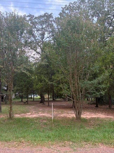 000 Jim Bowie Lane