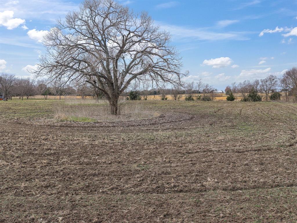 G M Mc Kinstry - Land