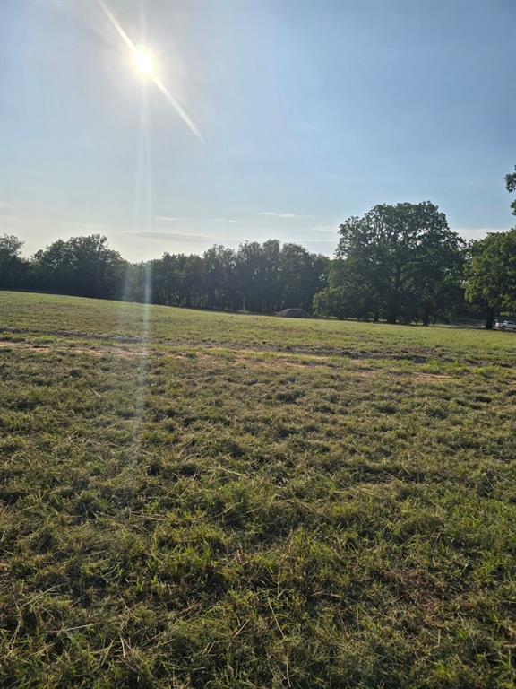 384 Red Oak Hills Road