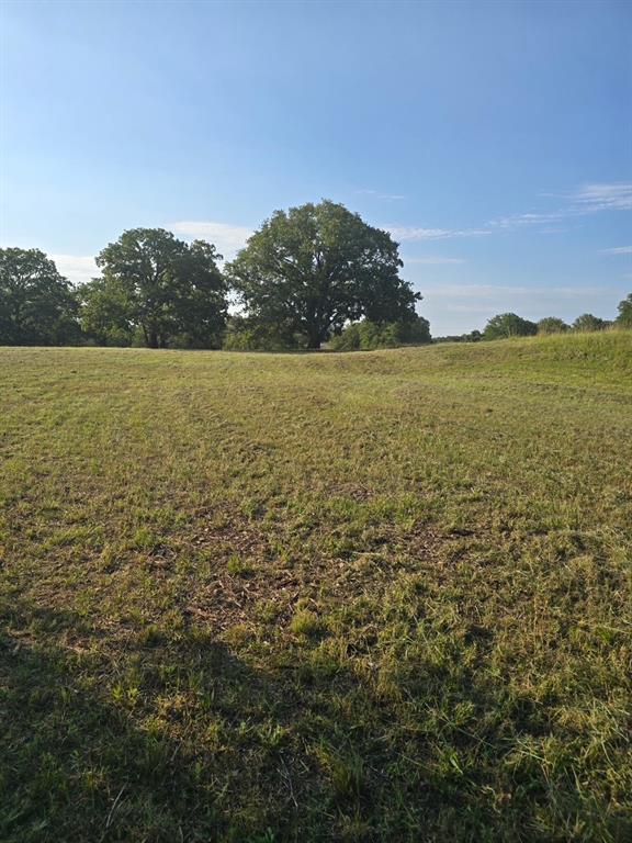 384 Red Oak Hills Road