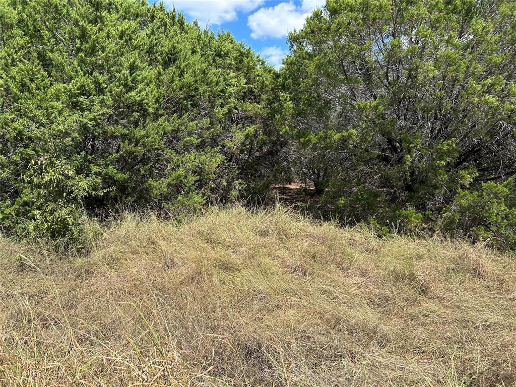 TBA CR 3570