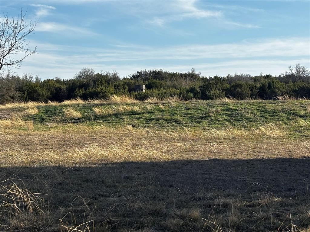 E M Bond Surv A-79 - Land