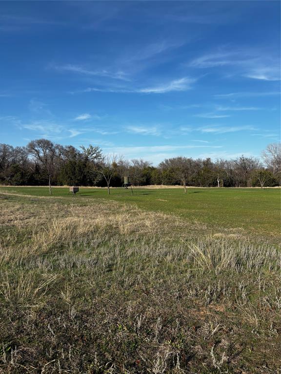 E M Bond Surv A-79 - Land