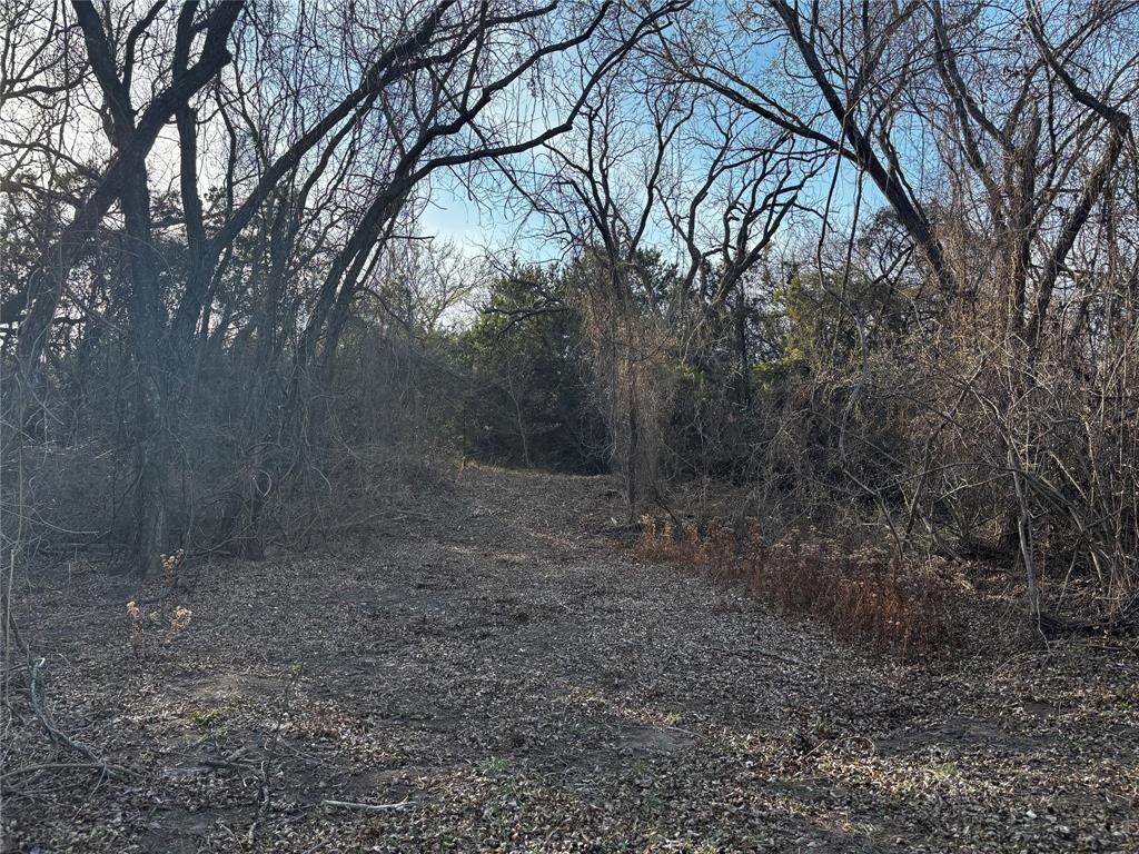 E M Bond Surv A-79 - Land