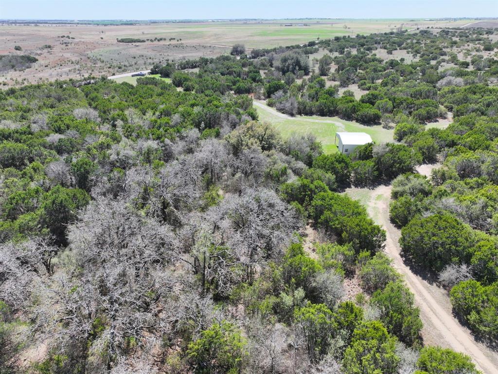 E M Bond Surv A-79 - Land