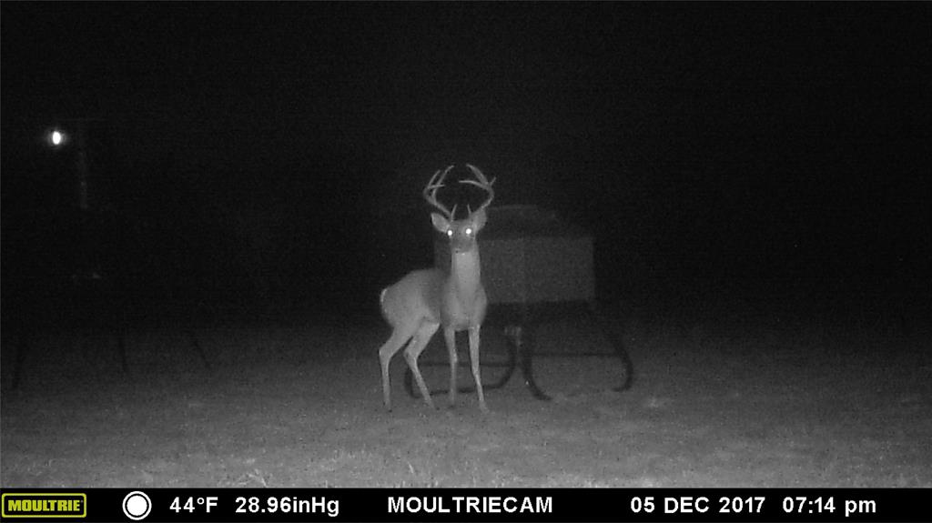 E M Bond Surv A-79 - Land