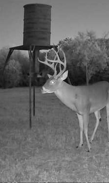 E M Bond Surv A-79 - Land