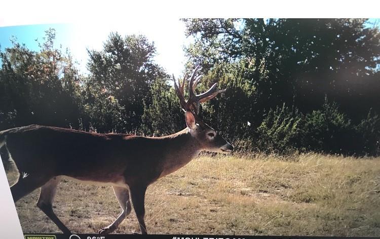 E M Bond Surv A-79 - Land