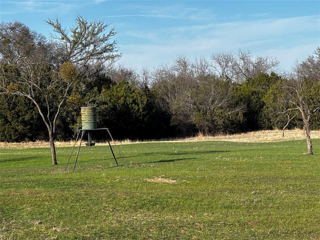 E M Bond Surv A-79 - Land