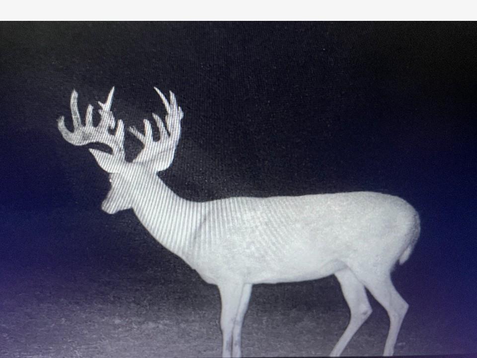 4025 County Road 175