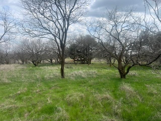 Abstract 208, Section 143 - Farm