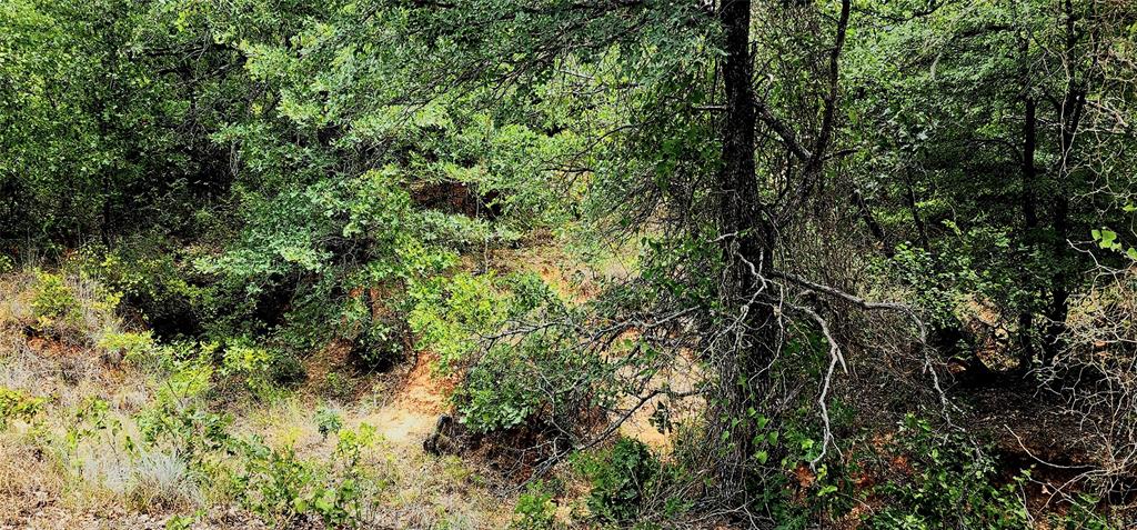 The Ranches At Valley - Land