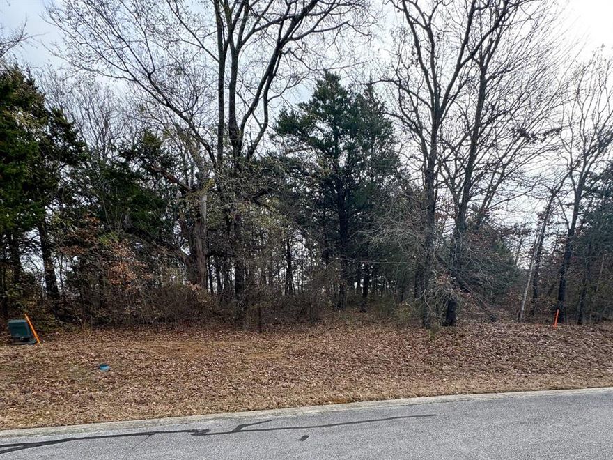 OWNER-FINANCING AVAILABLE!!
Create your ideal full-time residence or weekend getaway in this highly sought-after Rock Creek subdivision, Muirfield. Located between the front gate of Rock Creek and the amenity village area, this subdivision offers quick and convenient access in and out of the resort and to the clubhouse. Lot 9 is an oversized interior lot with great hardwood trees. Contact us for more details.