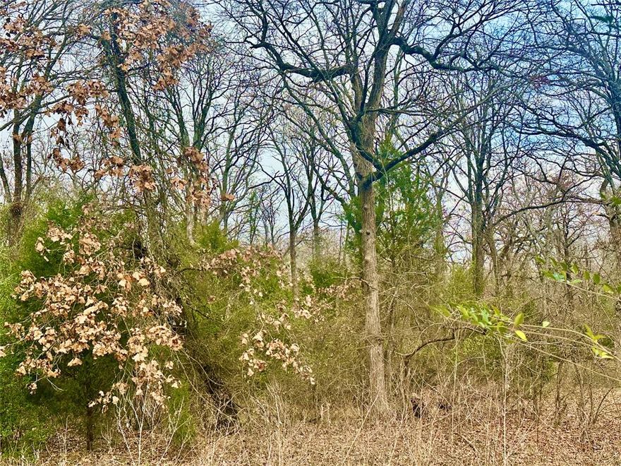 Your Blank Canvas Awaits: Oversized Lakeside Lot in Log Cabin, TX. Escape the cookie-cutter subdivisions and build exactly what you’ve envisioned! Located on the serene Daniel Boone Lane, this oversized .25-acre+ lot (75’ x 150’) offers 50% more width than the standard area lot, providing the extra breathing room you need for a sprawling ranch-style home, a large garage, or a custom garden oasis.  Why Does This Lot Stands Out? Untouched Potential: This lot has not been cleared, offering a start fresh opportunity. Keep the native Texas trees exactly where you want them for maximum privacy and natural shade.  Investor’s Dream: With extra width (75’) compared to neighboring 50’ lots, this property holds superior market appeal for custom builds.  The Best of Both Worlds: Enjoy a secluded, wooded retreat vibe while remaining just minutes from the vibrant amenities of Cedar Creek Lake.

Log Cabin City Amenities: Your investment grants you access to the unique amenities including: a park, boat launch, city-managed water and sewer services (no septic maintenance!) and the protection of the Log Cabin Police Department.

Whether you’re looking to land-bank for the future or start your dream lake-house project today, 0 Daniel Boone Ln. offers the space and flexibility to make it happen.  Claim your slice of the Texas lakeside today!