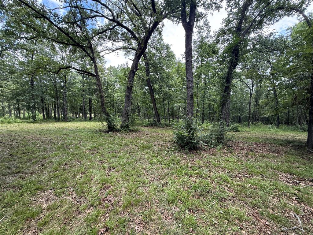 0000 County Road 1130