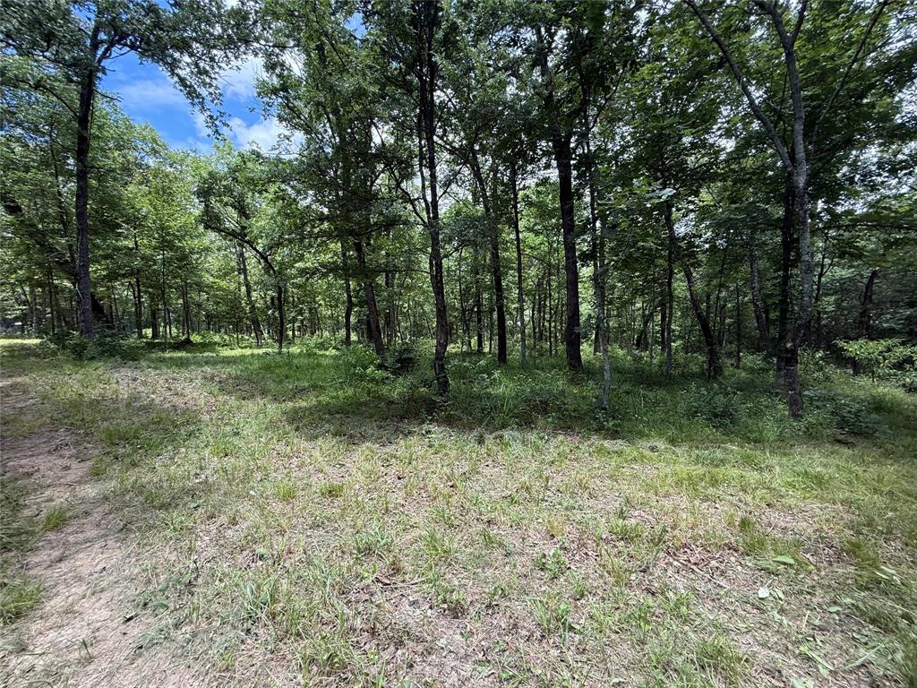 SUR:  HURLEY ANDREW - Land