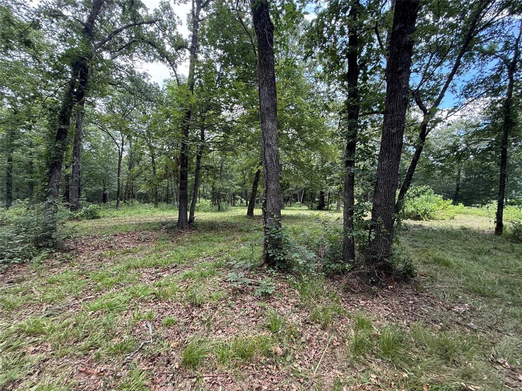 0000 County Road 1130