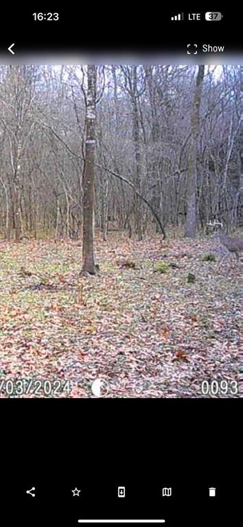 SUR:  HURLEY ANDREW - Land