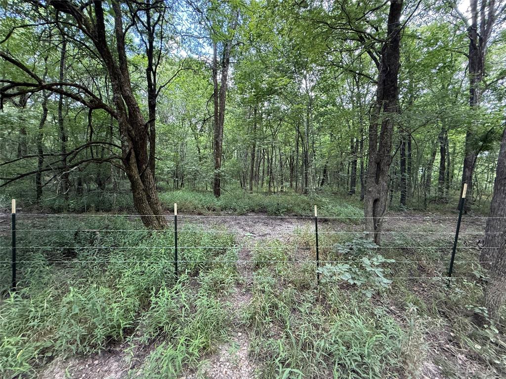 SUR:  HURLEY ANDREW - Land