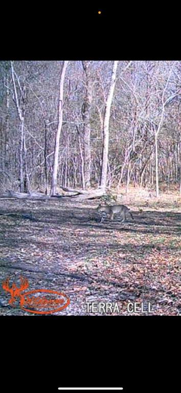 SUR:  HURLEY ANDREW - Land