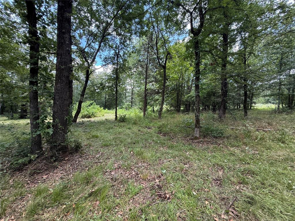 0000 County Road 1130