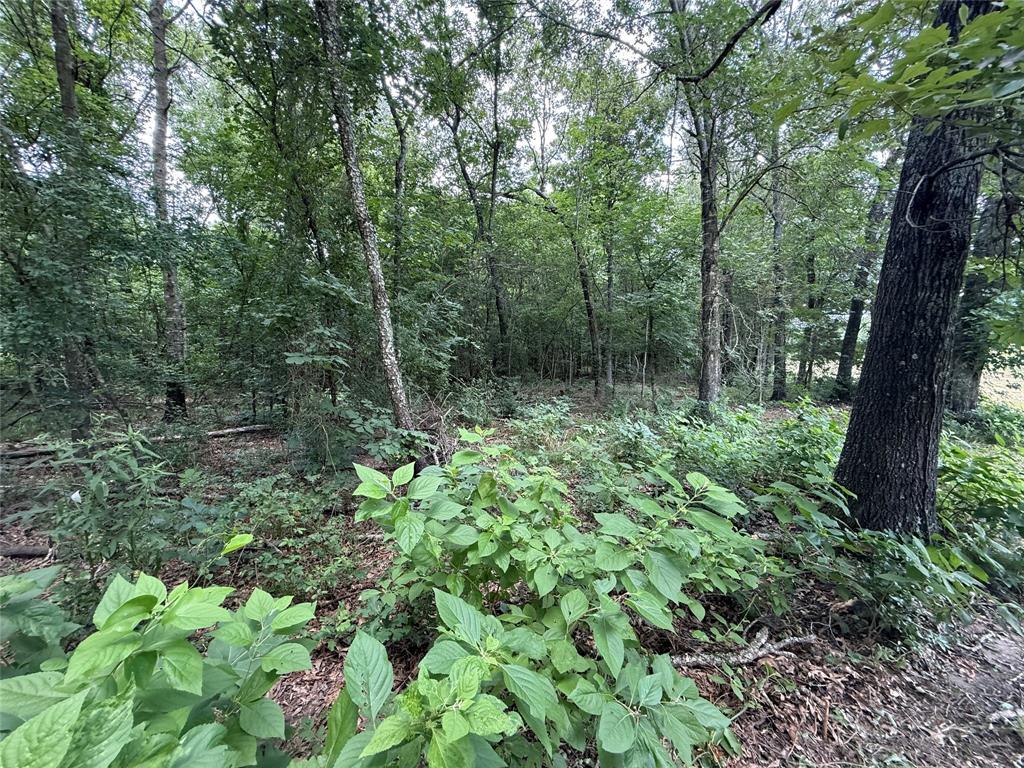 SUR:  HURLEY ANDREW - Land