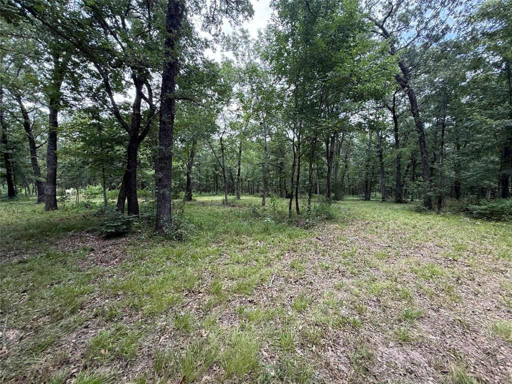0000 County Road 1130