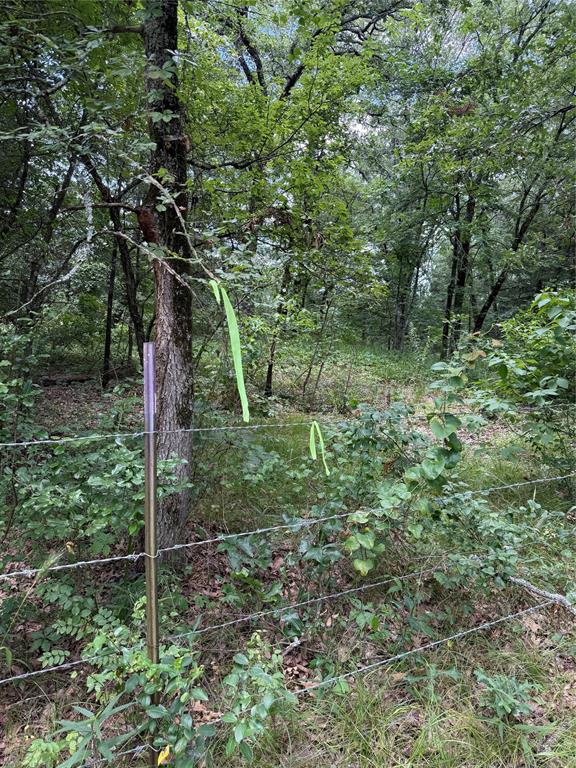 SUR:  HURLEY ANDREW - Land