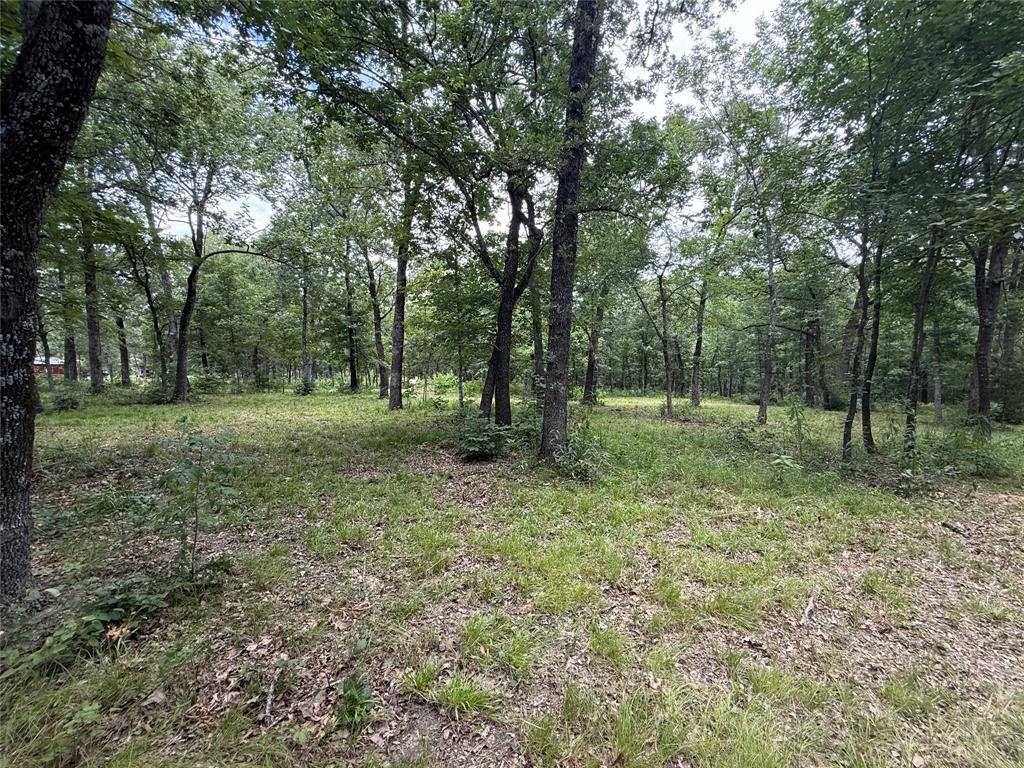 SUR:  HURLEY ANDREW - Land