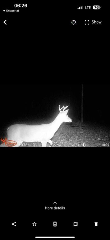 SUR:  HURLEY ANDREW - Land