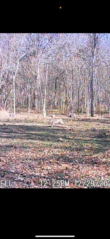 SUR:  HURLEY ANDREW - Land