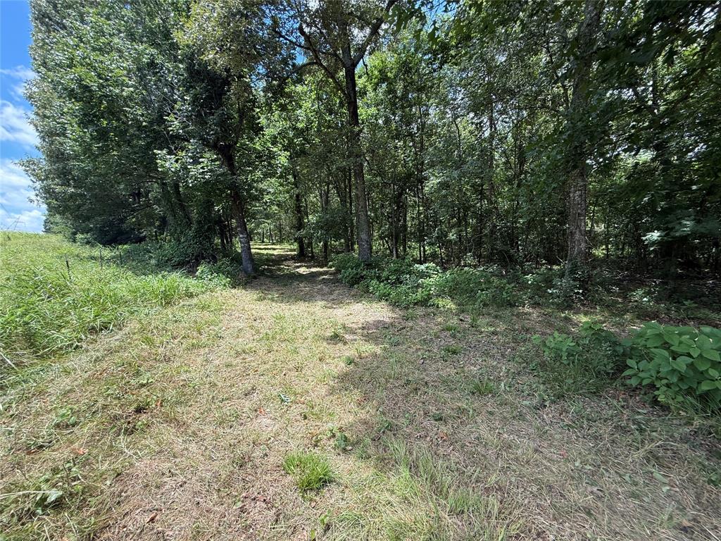 SUR:  HURLEY ANDREW - Land