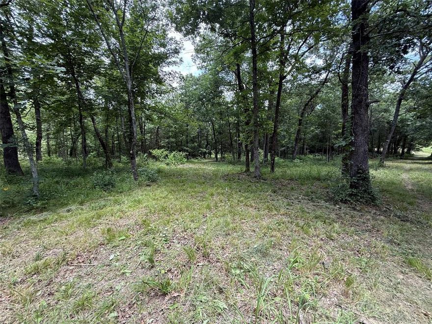 This stunning 10 acre parcel, to be surveyed out of a larger tract, offers the perfect blend of privacy and natural beauty. Located in the highly sought after Miller Grove school district, this property provides a peaceful retreat with abundant wildlife, including deer, squirrels, bobcats, and occasional wild pigs. A scenic creek runs partially through the northern part of the land, adding to its charm. The seller is offering up to $10,000 worth of excavation, driveway, or clearing work with an acceptable offer making this an excellent opportunity to customize the land to your needs. Whether you’re looking to build your dream home, create a private getaway, or enjoy outdoor recreation, this acreage is priced to sell and ready for your vision.
Don’t miss out on this rare find schedule your showing today!