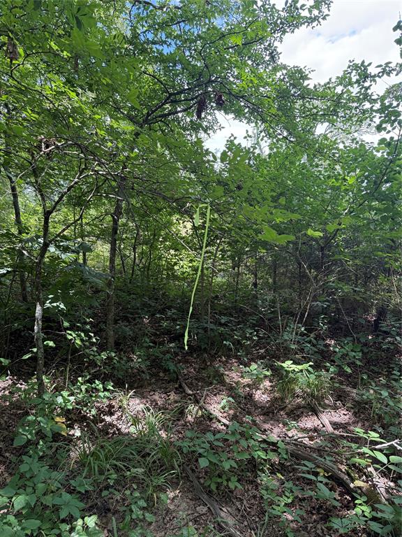 SUR:  HURLEY ANDREW - Land