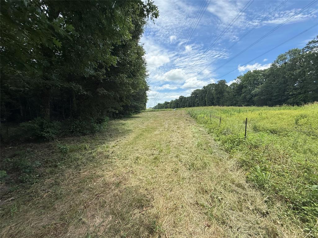 SUR:  HURLEY ANDREW - Land