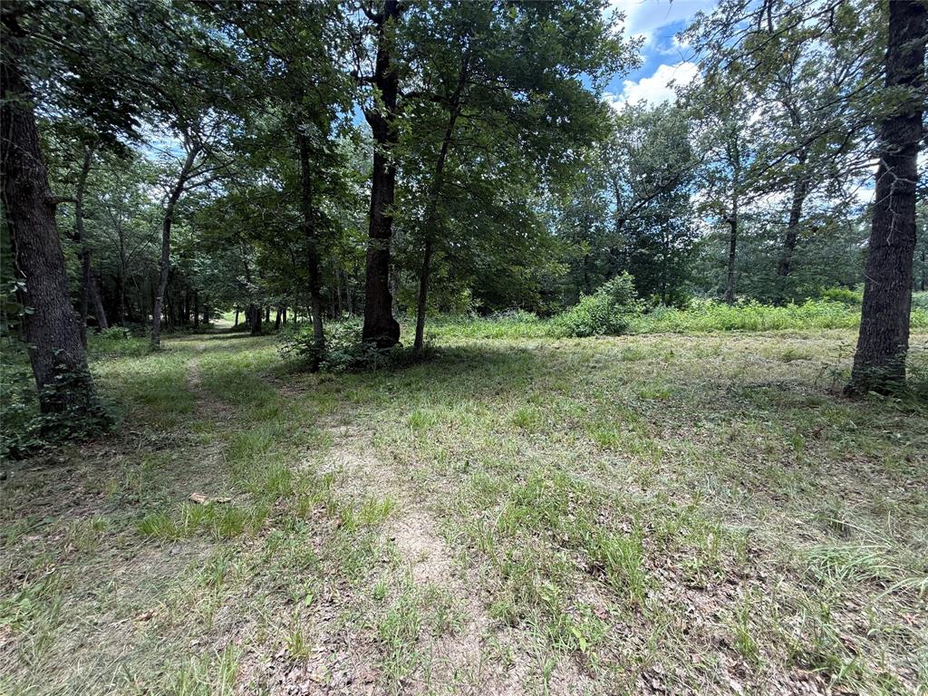 SUR:  HURLEY ANDREW - Land