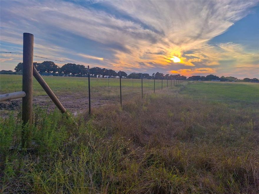 Wide open spaces, just under one hour from Dallas!  This tract is the perfect slice of Texas, so bring your building plans!  One acre up front has gorgeous, mature trees and the eight acres in the back is open, improved pasture, waiting for your home or livestock. Electricity and water are at the road.  This tract has level topography and has 99 feet of frontage on an all-weather county road.  Mobile homes are allowed.