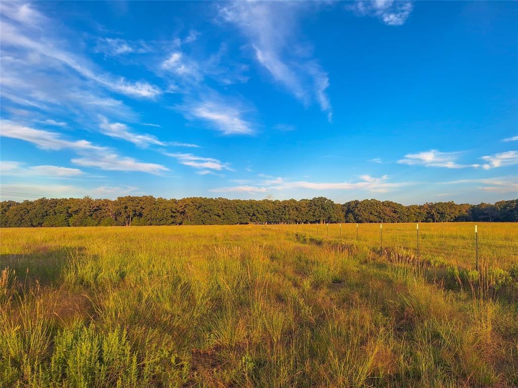 Willow Bend Acres - Land