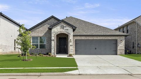 7509 Wild Mint Trail Midlothian TX 76084