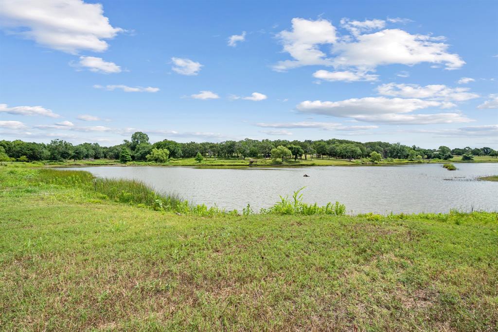 Lago Lindo Pc - Farm