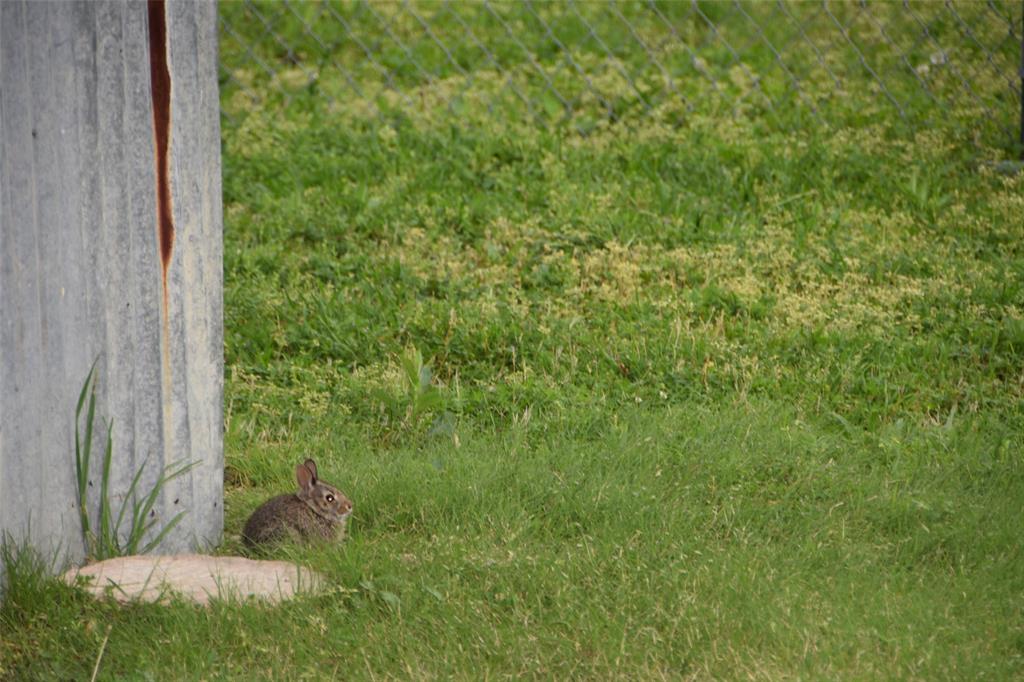 ALEXANDER MCGAHEY ABST 960 PG 135 TR 9 ACS 2.096 V - Residential