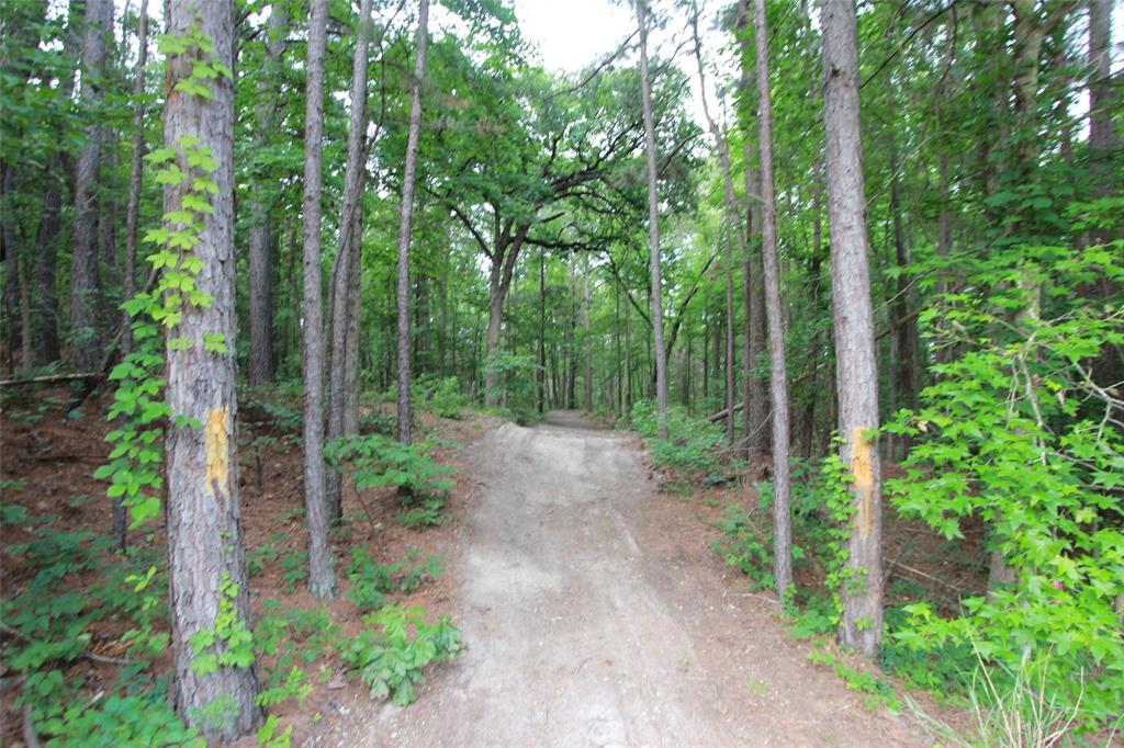 Tract 53.1 Hwy 31