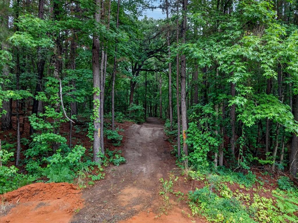 Tract 53.1 Hwy 31