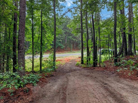STATE HIGHWAY 31 W, TYLER, TX 75709 - Image a9dcb4a74892af10e907e4e6ff7126aa/2520345794